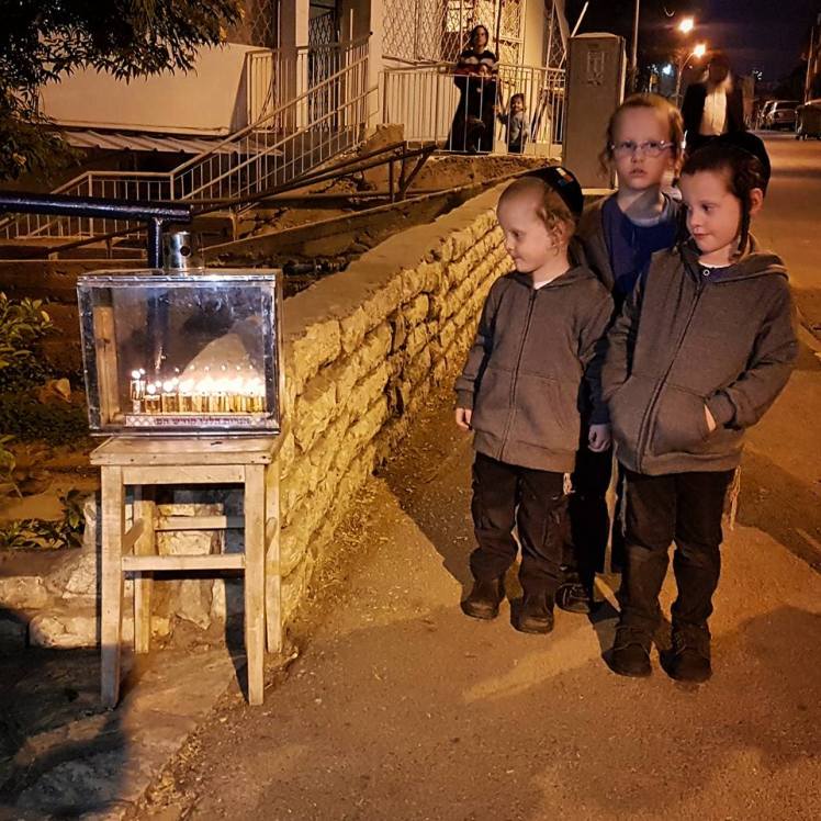 looking at the Chanukah candles by Forest Rain