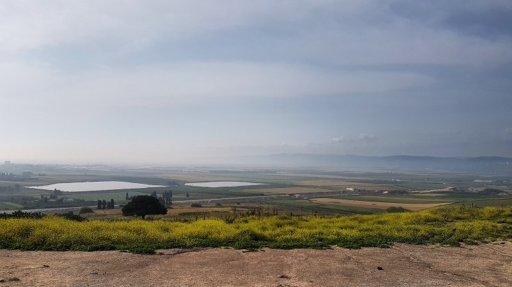 IMG_20180412_181452_856